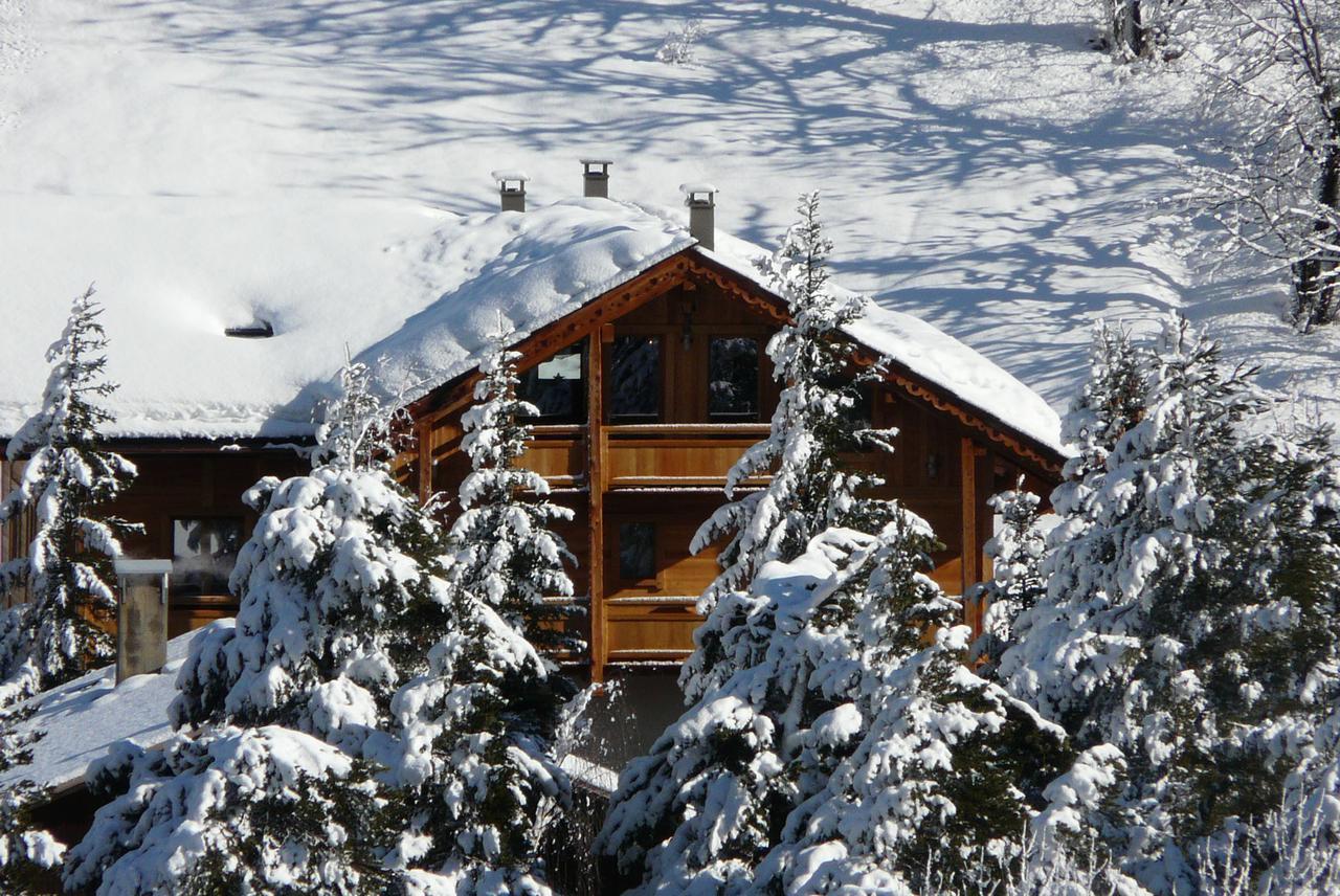 סר שבלייה Chalet Cerf Che מראה חיצוני תמונה